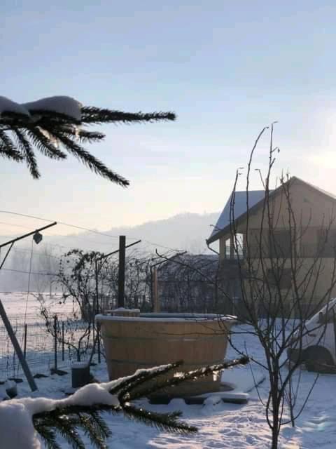 Pensiunea Brezu Sighetu Marmatiei Exterior photo
