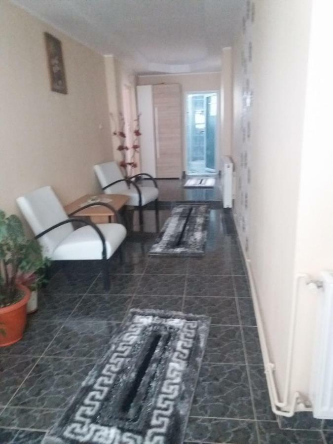 Pensiunea Brezu Sighetu Marmatiei Exterior photo